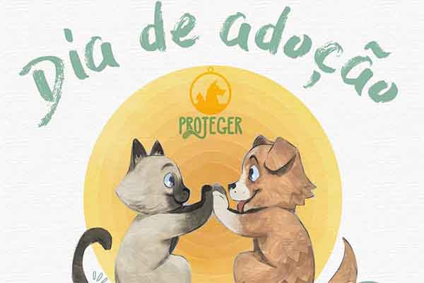 Cães e gatos podem ser adotados em evento no sábado