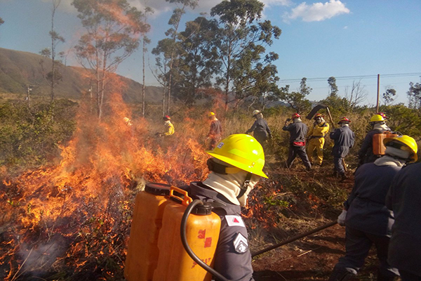 Incêndios em vegetação provocam prejuízos ambientais em Minas
