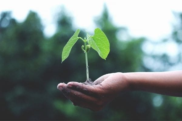 Nativa SPA Orgânico é novidade da marca O Boticário