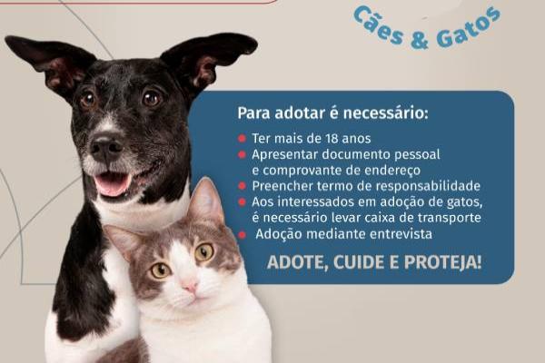 Contagem promove o 1º evento de adoção de cães e gatos na Feira do Eldorado