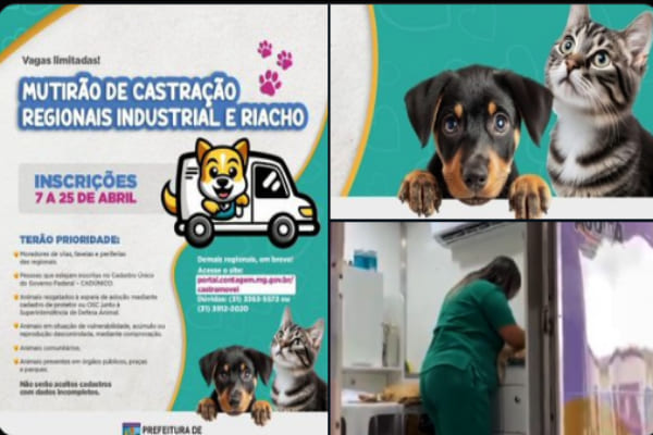 Abertas as inscrições para Mutirão de Castração no Industrial e Riacho