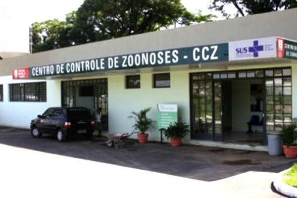 Prefeitura justifica eutanásia de cães em Contagem após denúncias 