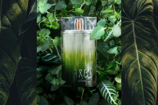 Frescor da natureza é inspiração de lançamento O Boticário