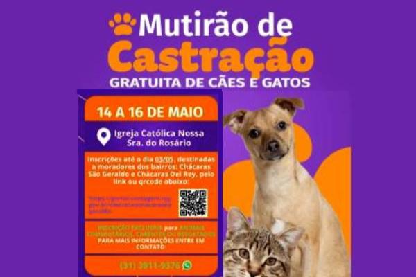Inscrições abertas para mutirão de castração de cães e gatos na Regional Sede