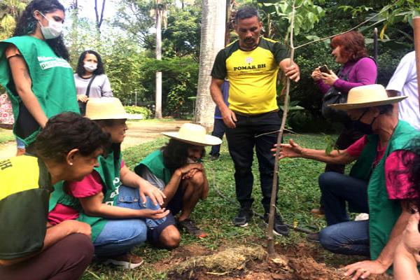Parque Municipal de BH ganha um Baobá 