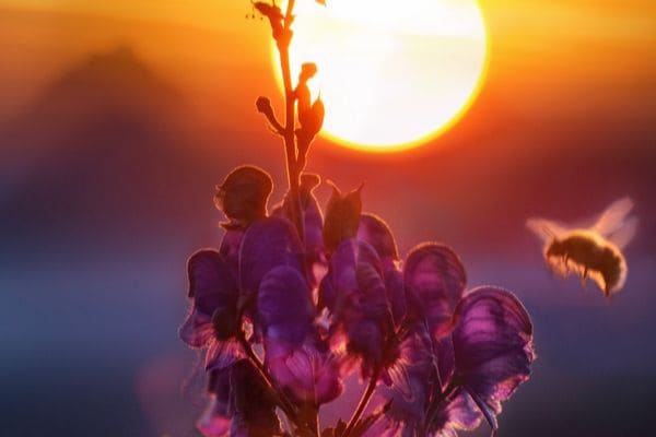 Temperaturas mantêm-se elevadas em Contagem ao longo da semana