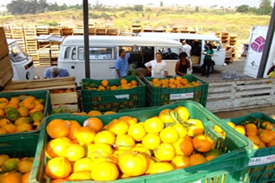 Frutas influenciam queda do preço de hortigranjeiros.