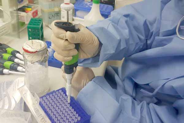 Cientistas descobrem substância que pode bloquear produção do vírus da zika