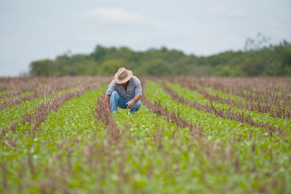 Receita libera programa para Imposto de Propriedade Territorial Rural