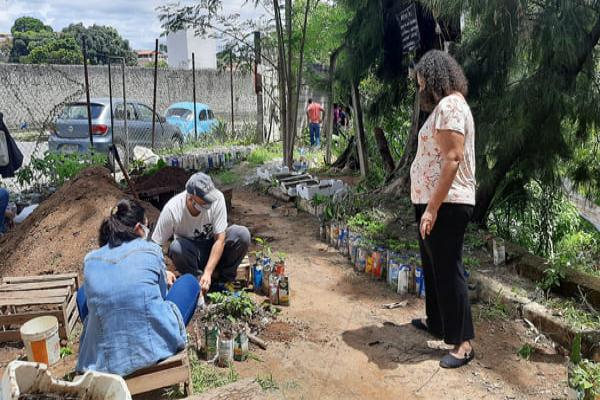 Mutirão Boi Rosado Ambiental intensifica produção de mudas