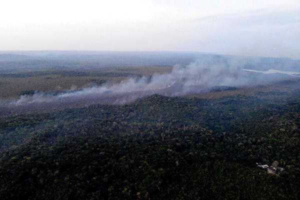 Lula viaja ao Egito para defender a preservação da Amazônia na COP27