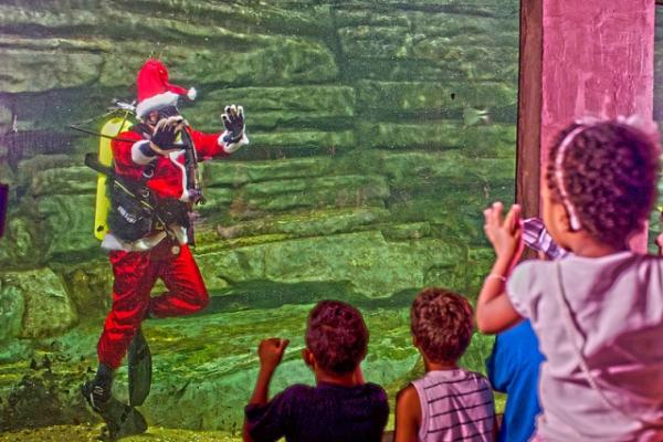 Papai Noel mergulha em aquário do rio São Francisco