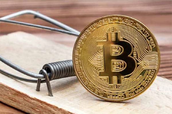 No Dia do Consumidor, Polícia Civil lança cartilha sobre criptomoedas 