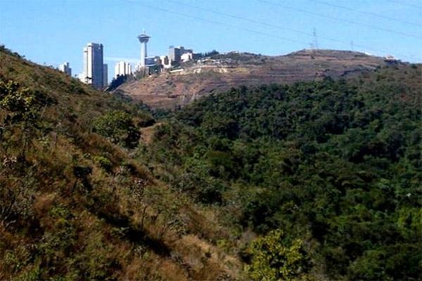 Abraço a Mata do Cercadinho em Belo Horizonte