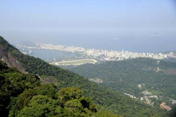 Estudo mostra regeneração de trechos da Mata Atlântica em nove estados