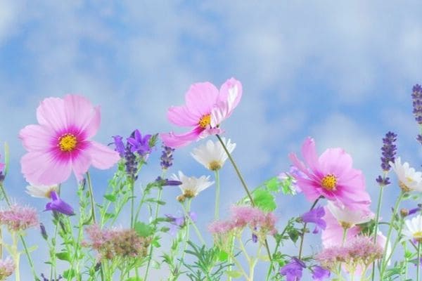 Ateliê Aberto de Primavera reúne cerca de 100 artistas em Contagem