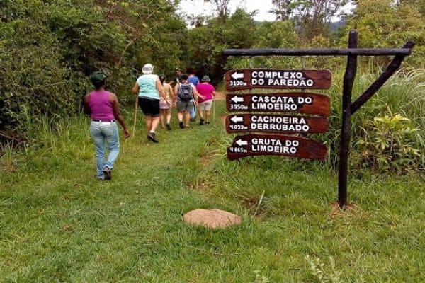 Projeto Ecofolia está com inscrições abertas