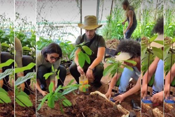 Participe do último Mutirão do ano no Viveiro do Boi Rosado, em Contagem