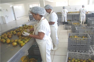 Entreposto tem bom aproveitamento de alimentos