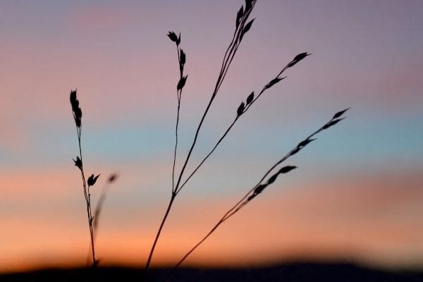 Temperaturas têm tendência de elevação