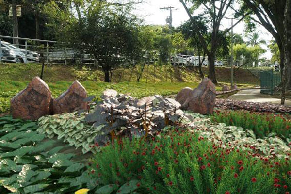 BH lança Programa Adote um Jardim de Chuva com desconto no IPTU