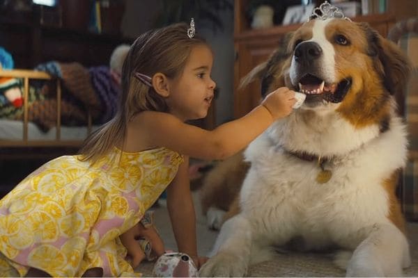 “Juntos para Sempre” tem sessão promocional nesta semana