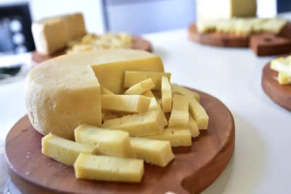 Sebrae Minas celebra o Dia do Queijo Artesanal com anúncio do maior festival queijeiro do Brasil