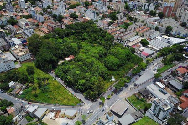 População se mobiliza para preservar Mata do Jardim América
