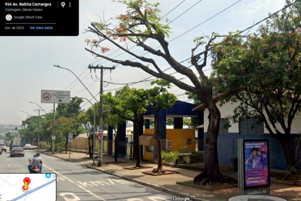 Árvore derrubada por temporal em Contagem e expõe descuido com a manutenção 