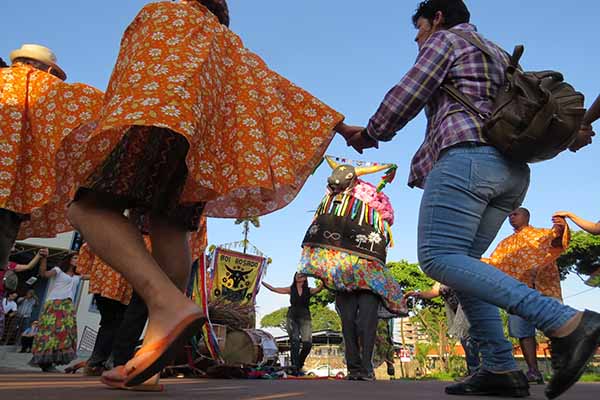 Cortejo Rei-boi-liço Rosado Junino festeja aniversário