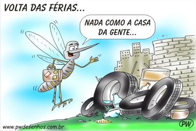 Chuva e dengue, tudo a ver