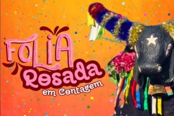 Bloco Boi Rosado encerra o Carnaval de Contagem neste domingo (22/2)
