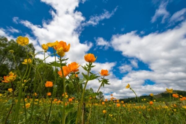 Início da primavera pode acarretar queda nas temperaturas