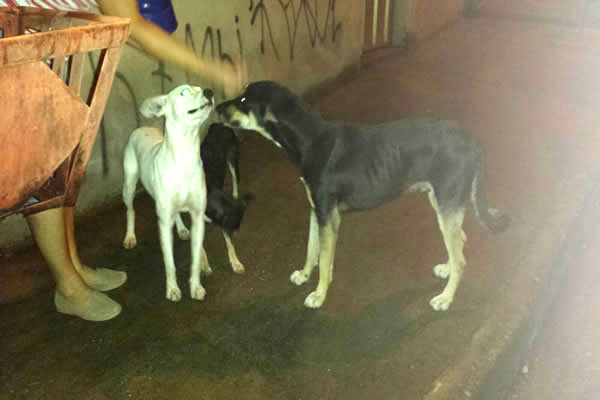 Moradora do bairro Oitis vive um drama