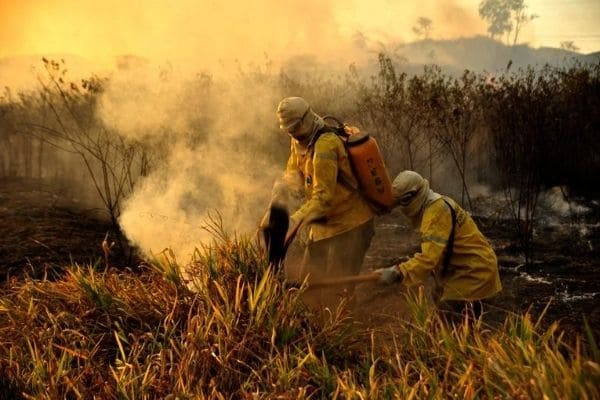 IEF divulga lista de aprovados em processo seletivo