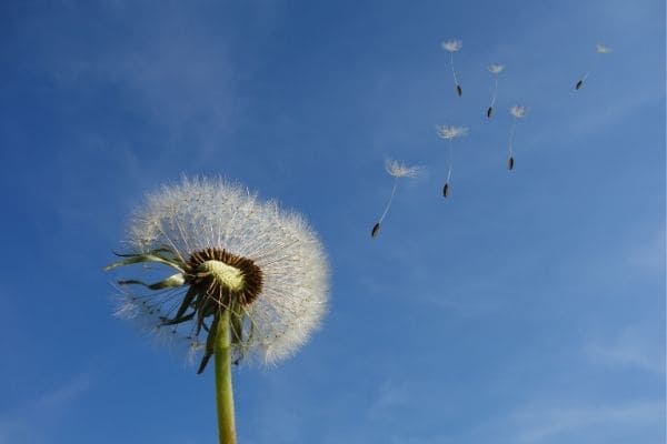 Chuva diminui e volta a esquentar em Contagem