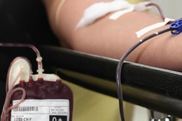 Doadores de sangue e medula poderão ter direito a atendimento prioritário