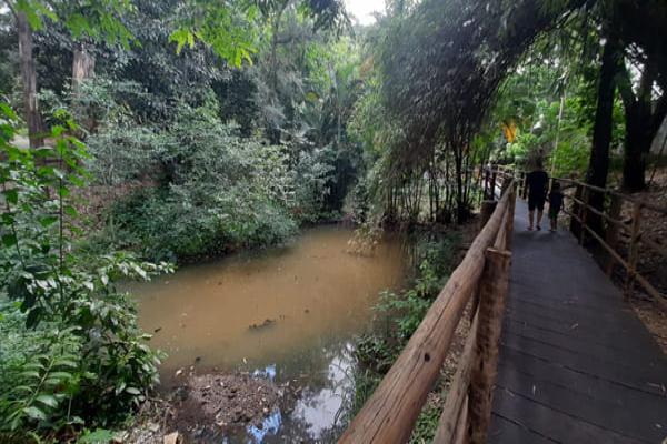Parque Ecológico do Eldorado está aberto a visitação, inclusive para cães