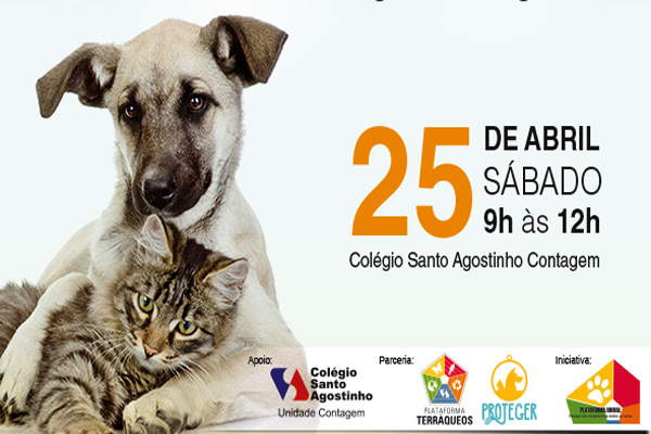 Colégio Santo Agostinho na luta pela proteção animal