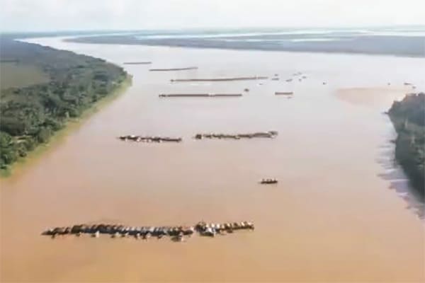 600 balsas de garimpo ilegal dragam o Rio Madeira