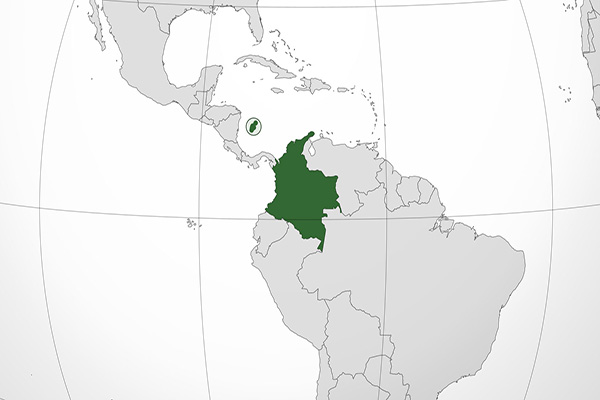 Dissidentes das Farc têm vínculos com facções criminosas brasileiras