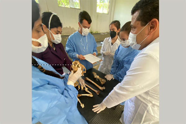 Médicos veterinários são treinados para identificar crimes de maus-tratos 