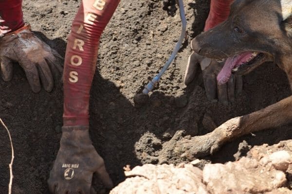 Polícia identifica última vítima encontrada em Brumadinho