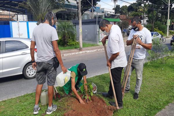 Contagem ganha novas árvores de presente de Natal