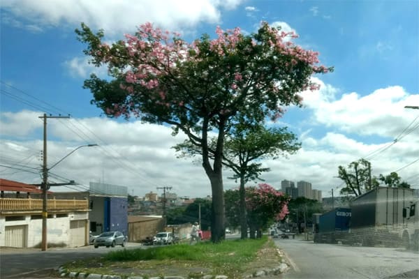 Umidade e temperaturas elevadas em Contagem 