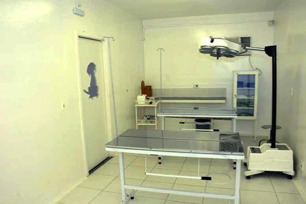 Inaugurado novo Centro de esterilização de cães e gatos Barreiro