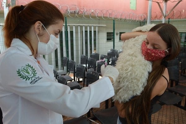 Vacinação antirrábica segue sendo realizada em Contagem