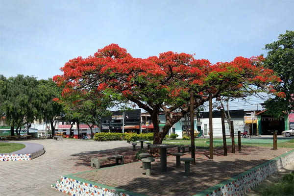Tempo estável sem previsão de chuvas em Contagem