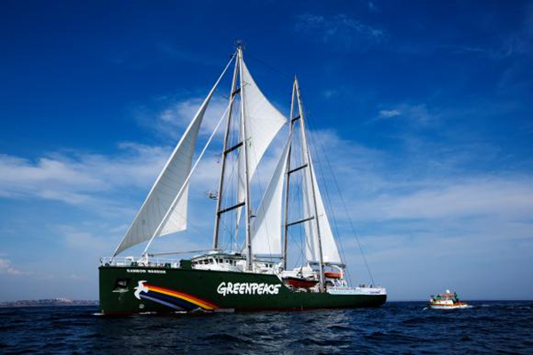 Greenpeace comemora 25 anos no Brasil e abre navio a visitação popular