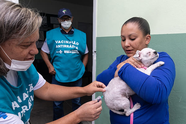 Últimos dias da vacinação contra raiva em Contagem
